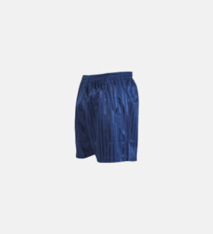 Shadow Stripe Shorts - Navy