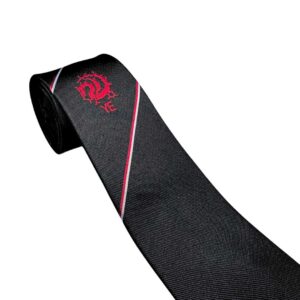 Eirias 6th Form Tie