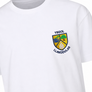 Llanddulas Infant PE T Shirt