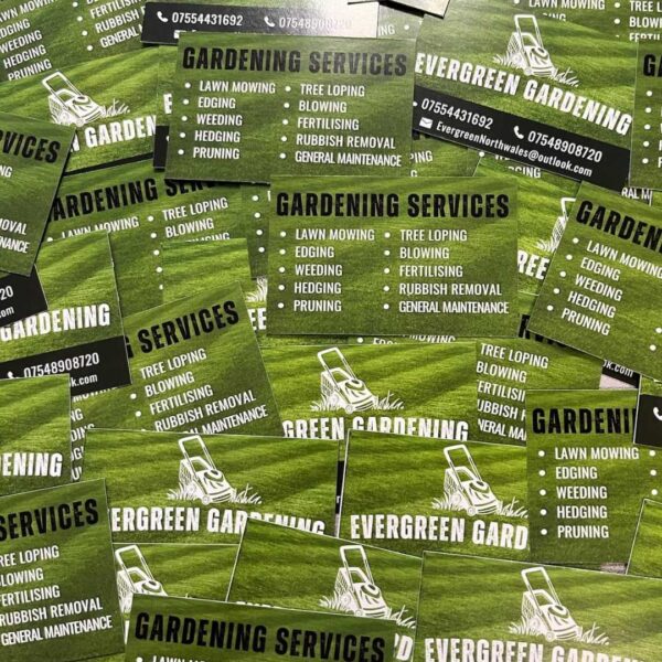 printing and merchandise companu personalised with logo north west wales business cards double sided print green