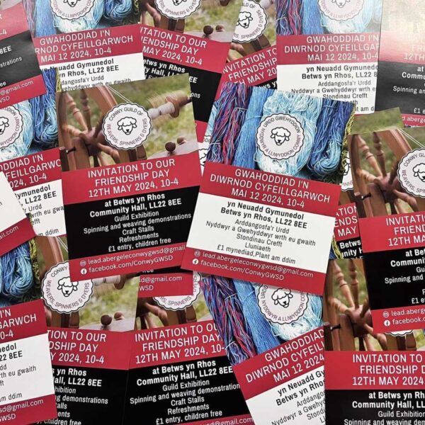 printing and merchandise companu personalised with logo north west wales flyer