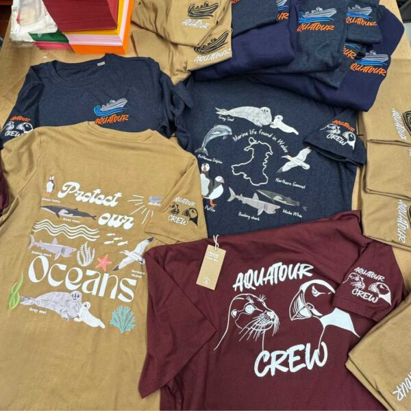 bundle bulk no minimum order t shirt bundles any colours choices blue red burgundy maroon print large back front embroidery sleeve proffesional high quality afforable